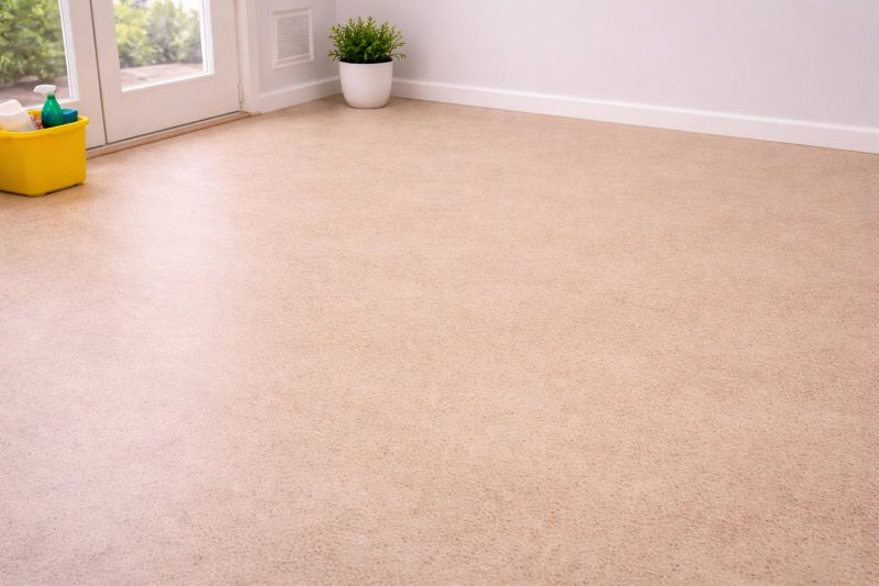 Sheet Linoleum Installation in Monticello, MN
